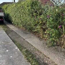 IMG_20260810_154051